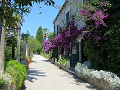 TRSTENO - Arboretum (16)